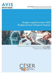 Budget supplémentaire 2024 : budget annexe Aéroport Avignon. | Corinne Innesti